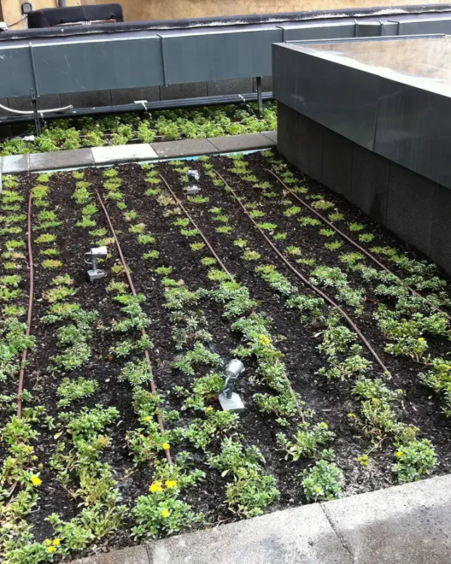 Green roof-Regional Health Ministry Building_Oviedo, Spain 14