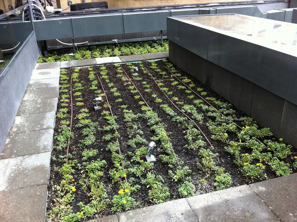 Green roof-Regional Health Ministry Building_Oviedo, Spain 14